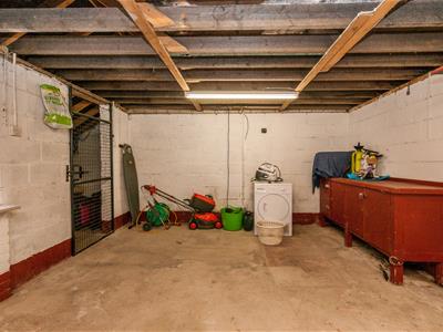 Picture 29